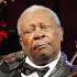 MIn.BB-King