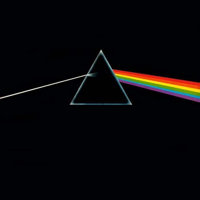 El flamenco Pink Floyd sigue volando libre 17 años después de escaparse del zoo: “Parece que ha vuelto de la “Dark Side of the Moon”