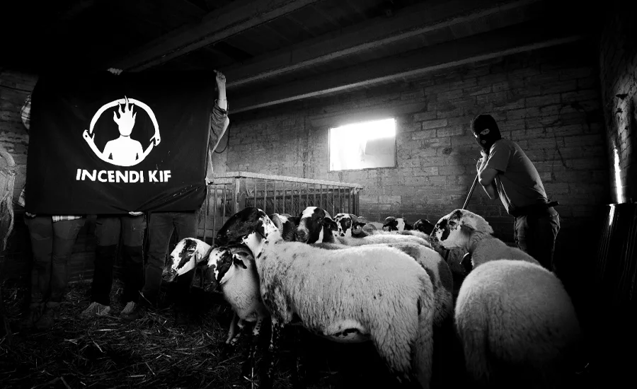 Incendi Kif presentan “Festeig”, una oda rural a la diversidad y la libertad colectiva