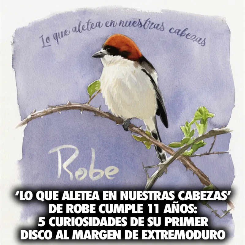 robe-11-aniversario-lo-que-aletea-en-nuestras-cabezas-slider